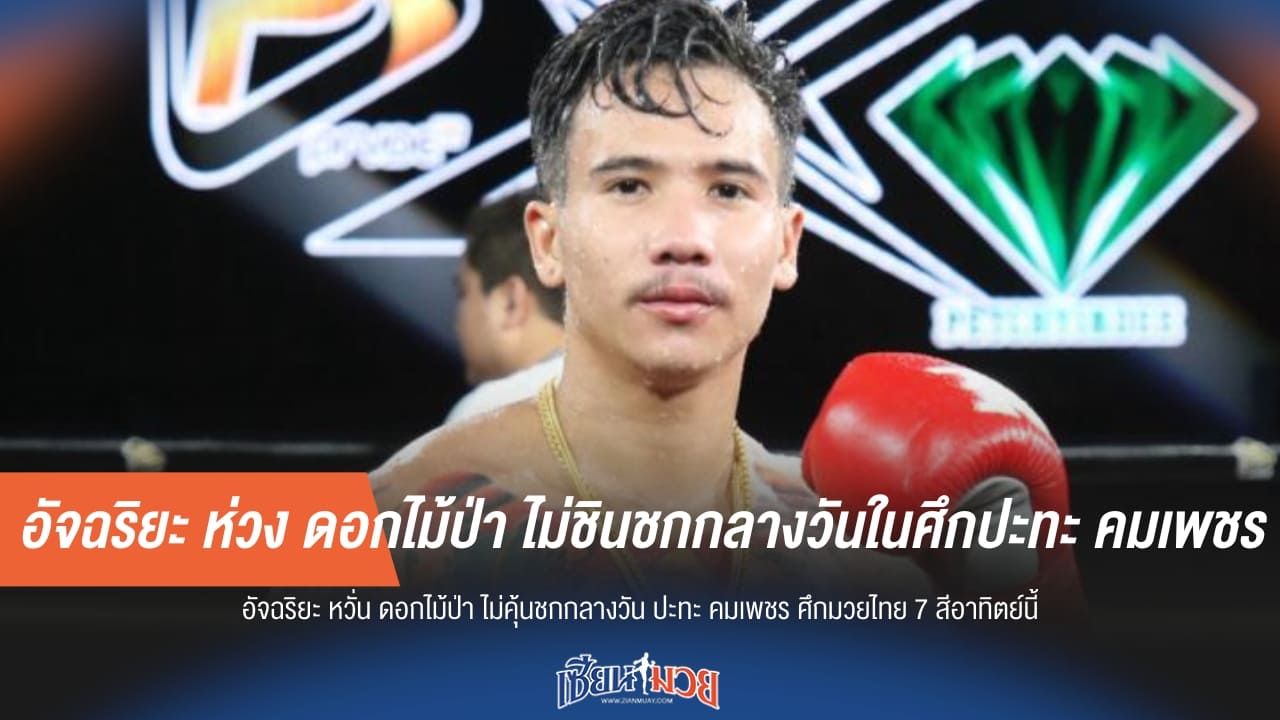 อัจฉริยะ ห่วง ดอกไม้ป่า ไม่ชินชกกลางวันในศึกปะทะ คมเพชร