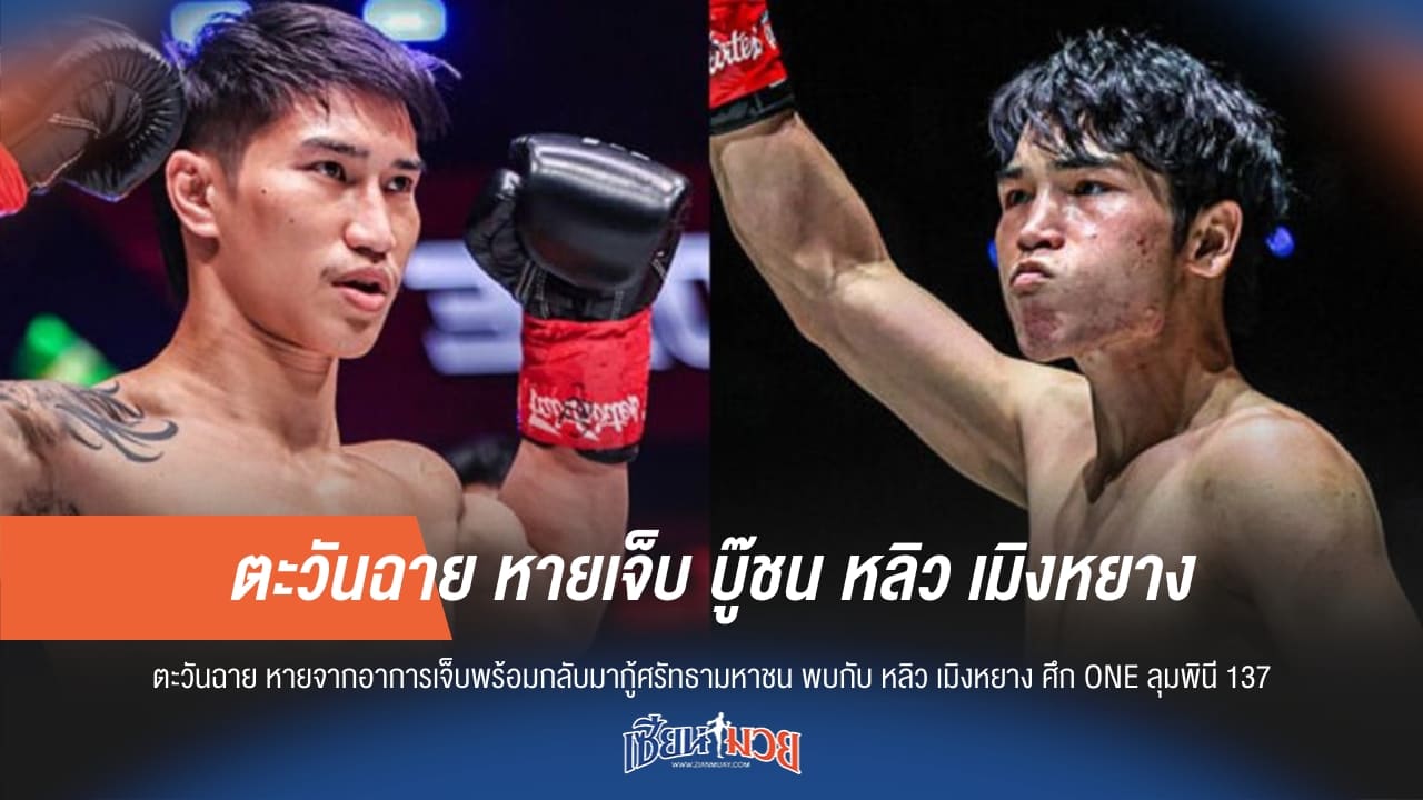 ตะวันฉาย หายเจ็บ บู๊ชน หลิว เมิงหยาง