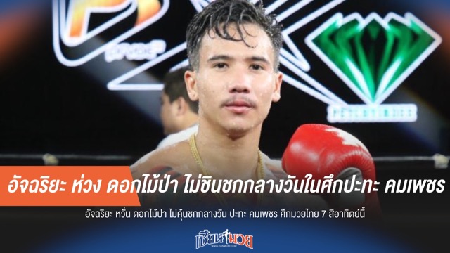 อัจฉริยะ ห่วง ดอกไม้ป่า ไม่ชินชกกลางวันในศึกปะทะ คมเพชร