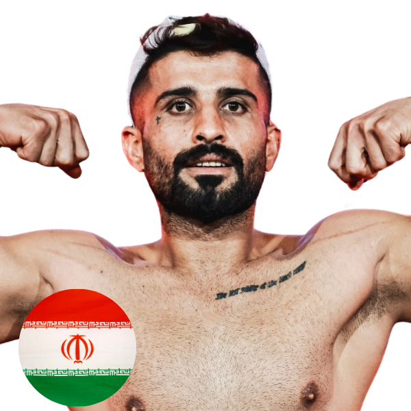 นาวิด อาลีซาเดห์