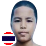 หลานชาย ปายท่าช้าง