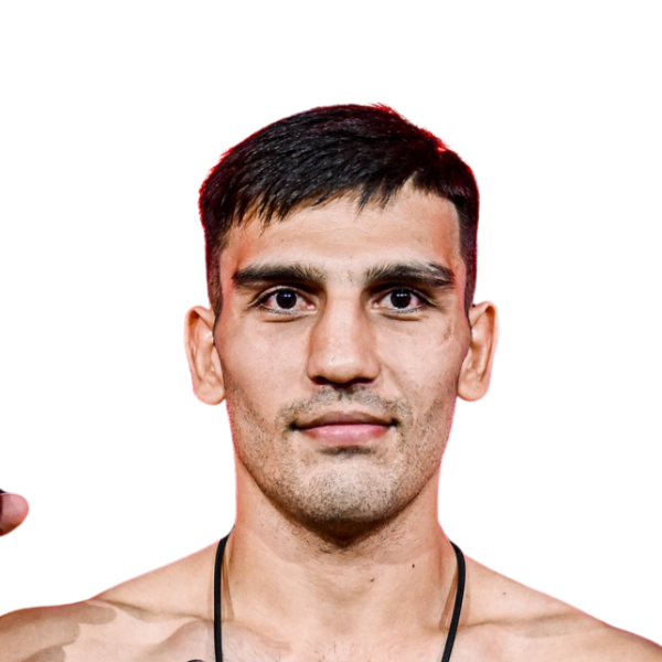 มิคาเอล อามิรี