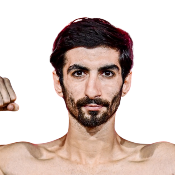 อายดิน ซาเดกี