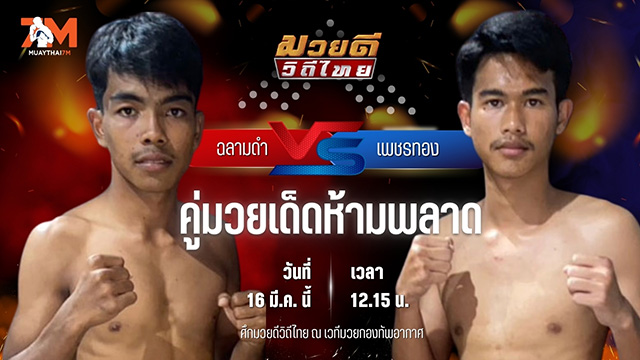 วิเคราะห์มวย ศึกมวยดีวิถีไทย ฉลามดำ ศ.ธรรมนูญ พบ เพชรทอง ศิษย์ประจัญบาน